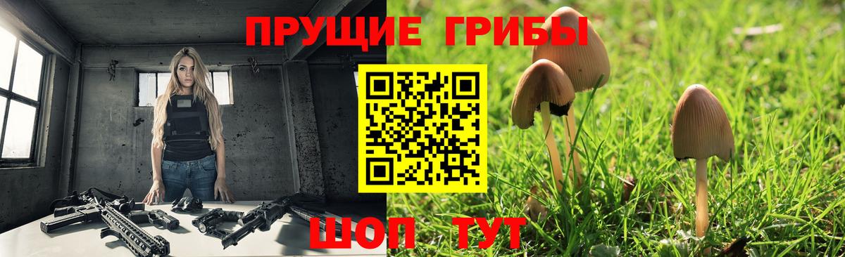Галлюциногенные грибы MAGIC MUSHROOMS Кореновск